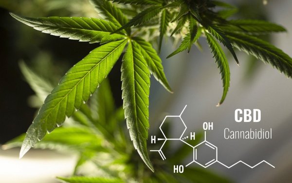 A CBD-nek kevés mellékhatása van - melyek ezek?