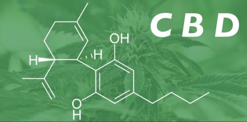 CBD olaj megelőzésként, igen vagy nem?