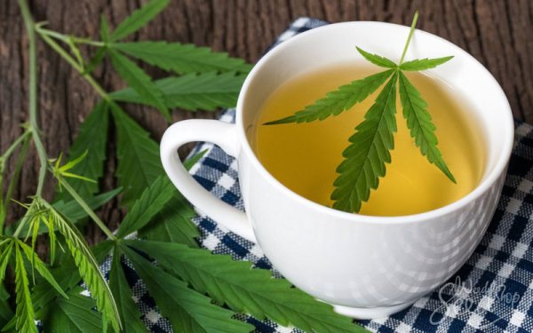 CBD kender tea és hat legjobb indok a használatára