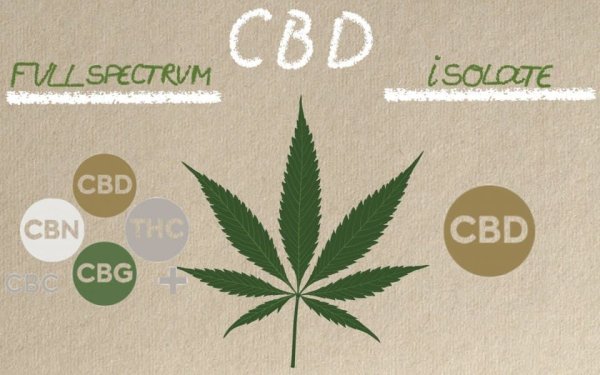 CBD Kenderolaj: teljes spektrum vagy izolátum?