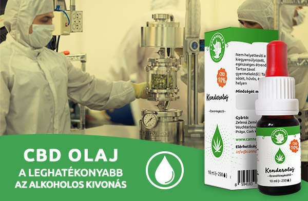CBD olaj - a leghatékonyabb az alkoholos kivonás