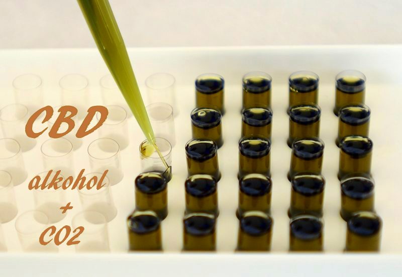 CBD olaj - alkohol és CO2 kivonás fúziója