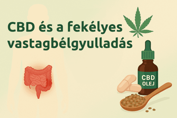 CBD és a fekélyes vastagbélgyulladás: Segíthet a kender a gyulladásos bélbetegségek kezelésében?