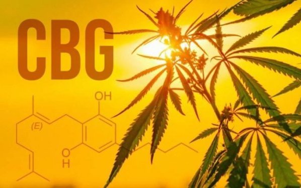 CBG - minden, amit tudnia kell