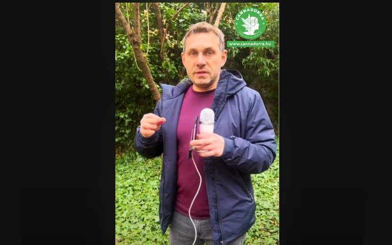 Valódi beszámoló - Kipróbáltuk a HHC bonbonokat