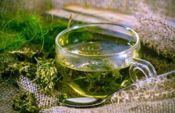 Hogyan készítsük el az igazán hatékony CBD kender tea?