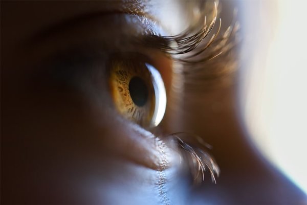 Kender és a zöld hályog