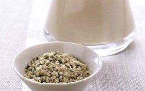 Kendermagból készült tej