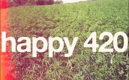 Miért ünnepeljük a kender napját április 20-án?