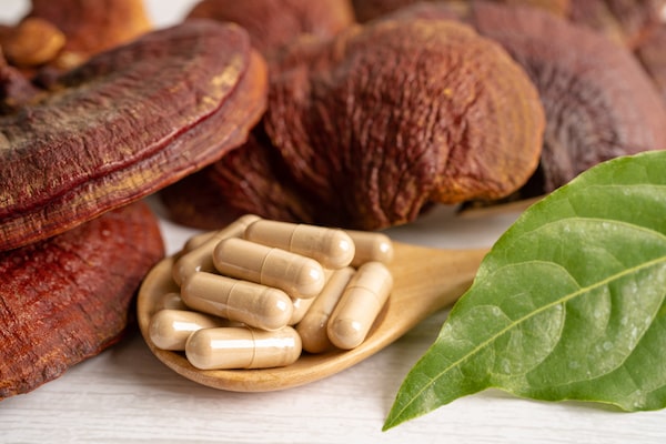 Reishi - mi ez és hogyan működik?