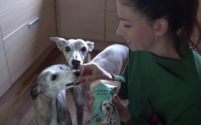 TV riport - kender állatoknak