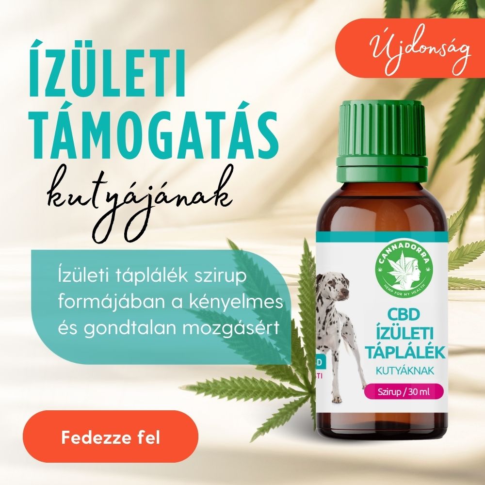 Újdonság – folyékony ízületi táplálék kutyáknak