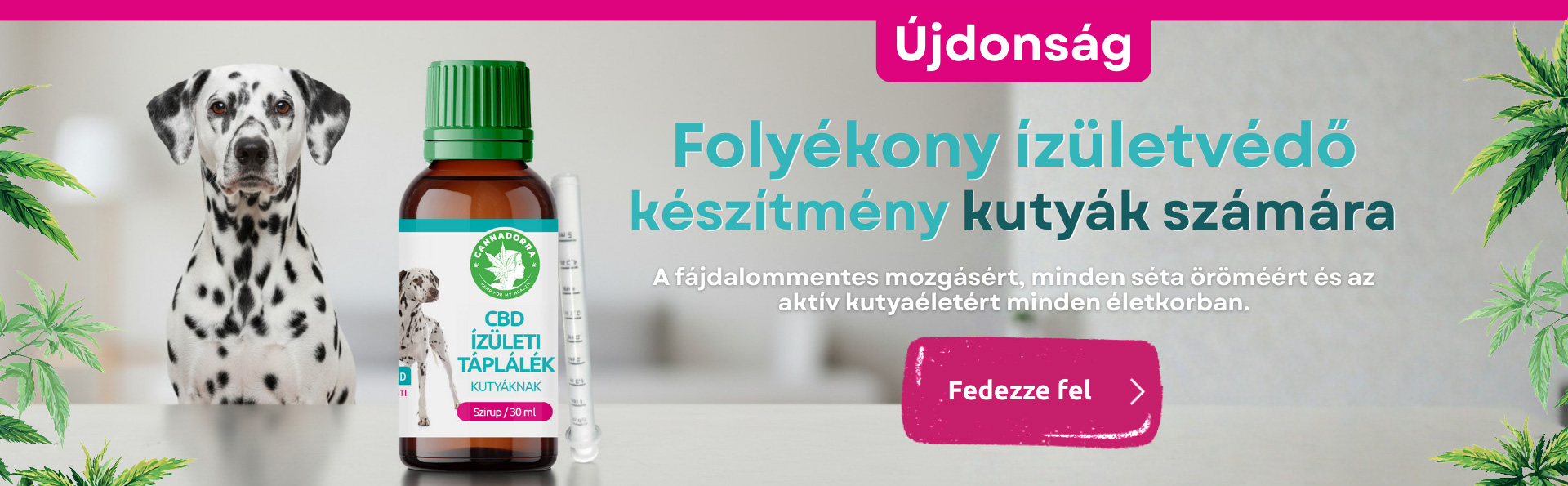 Újdonság – folyékony ízületi táplálék kutyáknak