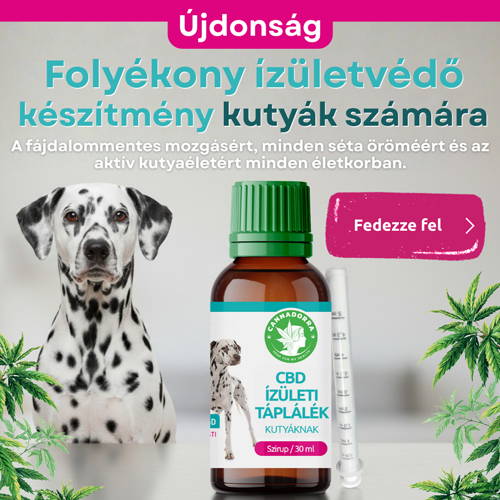 Újdonság – folyékony ízületi táplálék kutyáknak