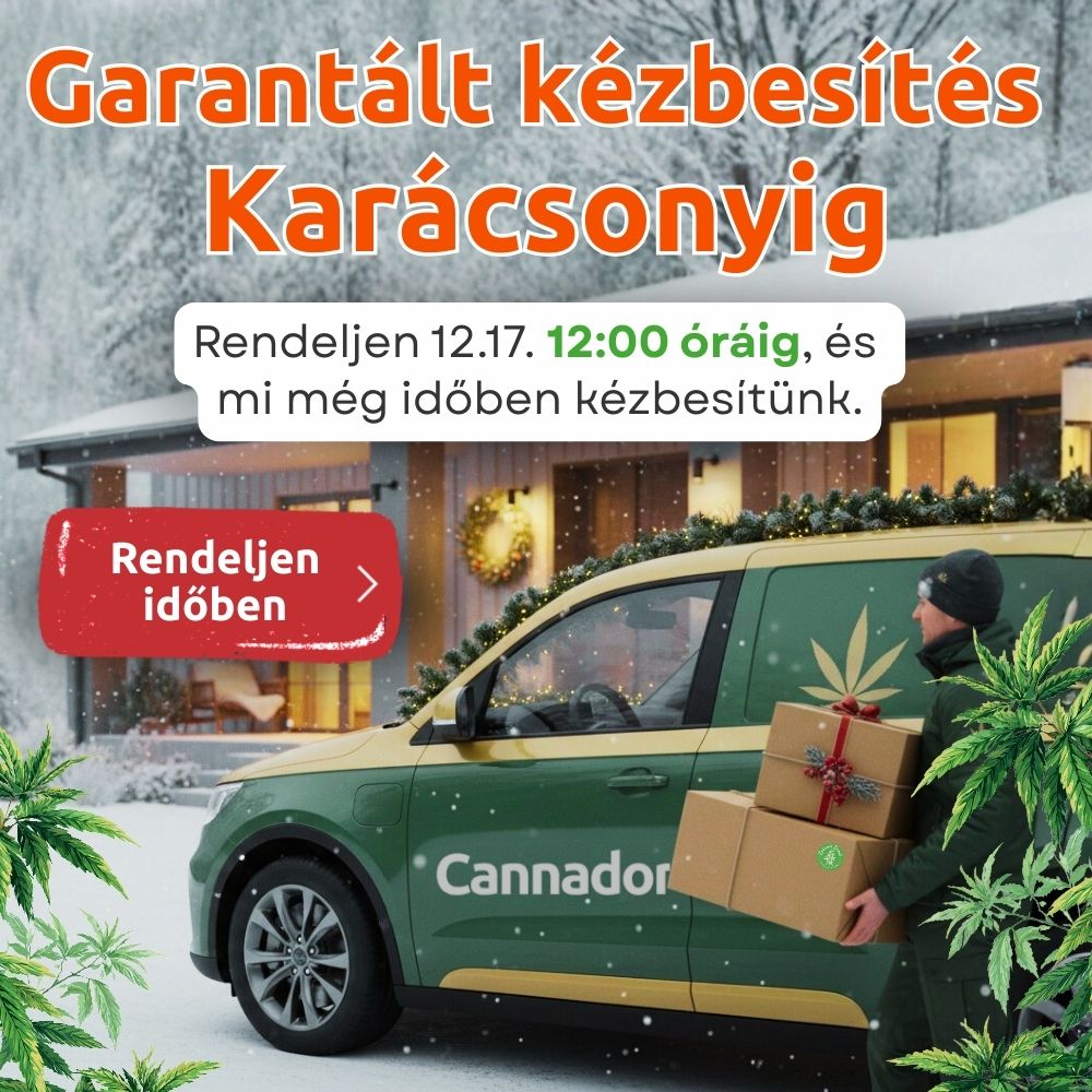 Garantált szállítás karácsonyig