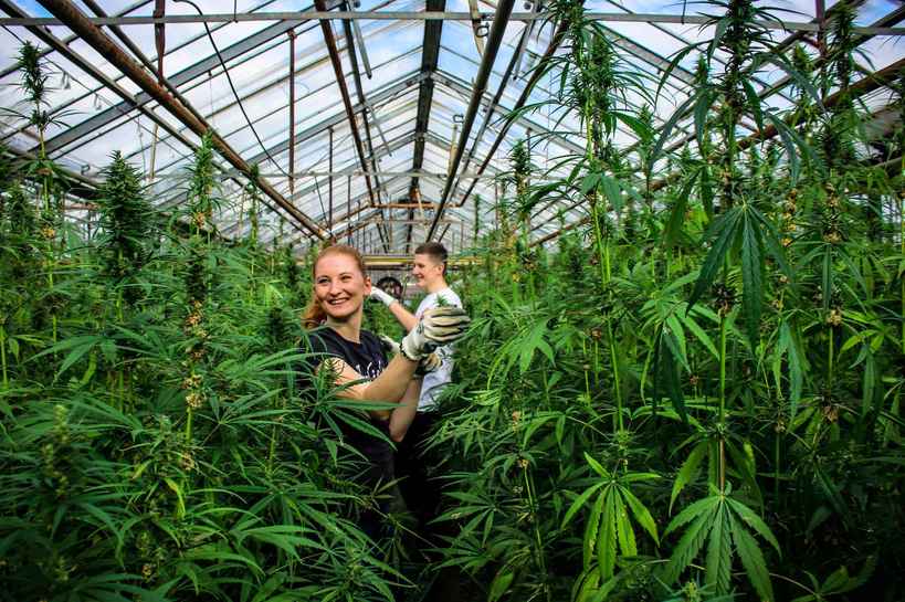 Cannadorra-kenderbetakaritas