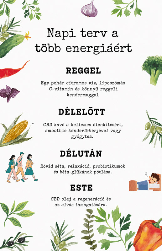 tavaszi újrakezdés