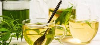 CBD kendertea