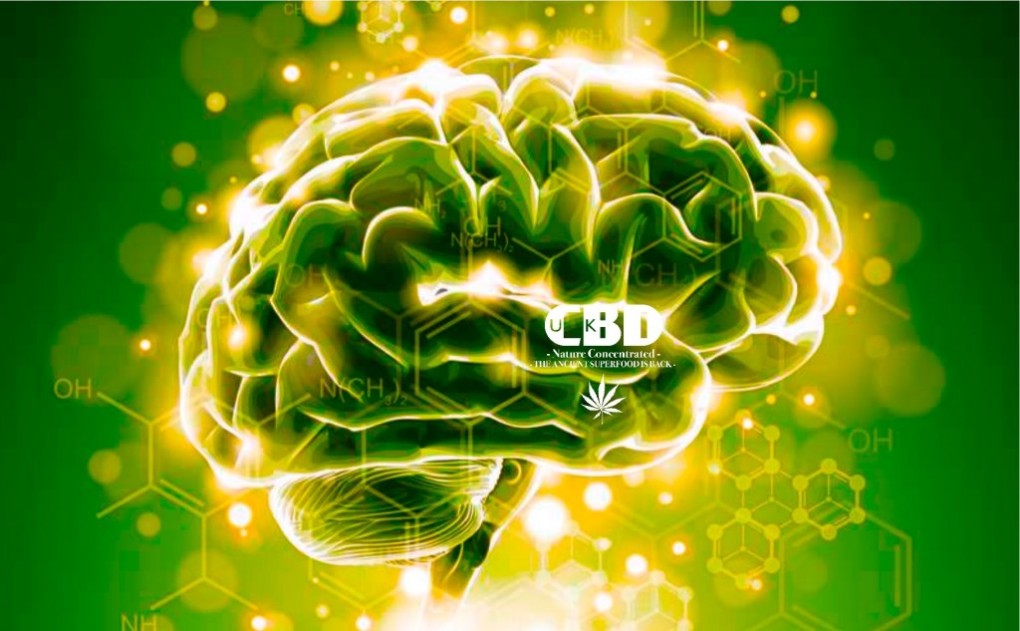 A CBD előnyei