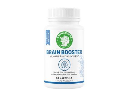 booster brain