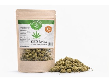 ChatGPT Image Feb 13, 2026, 01 09 35 PM