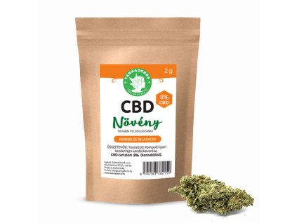 Mockup CBD kvety 8 procent HU