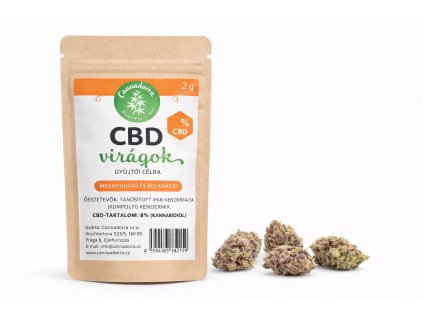 ChatGPT Image Feb 13, 2026, 01 09 40 PM