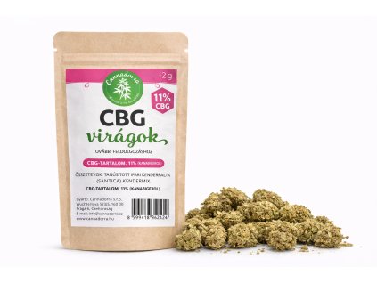 ChatGPT Image Feb 13, 2026, 01 14 29 PM