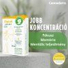 Koncentráció (Focus) – tapaszok, 12 db