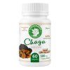 gyogygomba chaga