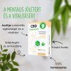 CBD tapasz 12 db