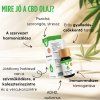 CBD olaj 10%, Full Spectrum, 10ml