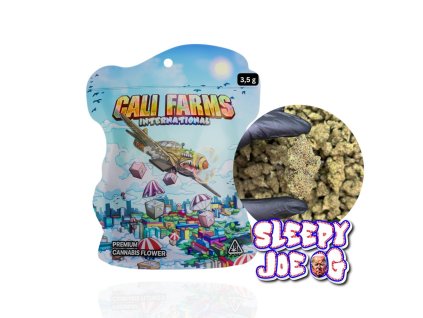 2685 1402 sleepy joe cbn kve ty 1