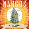 Wholesale Narcos Popeyes Cookies Feminized 3 seeds pack 1