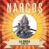 Wholesale Narcos La Chica Feminized 3 seeds pack 1