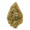 Gelato CBD