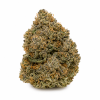 Straberry haze cbd