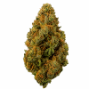 Amnesia fullspectrum