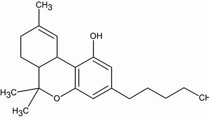 Co je THC-JD