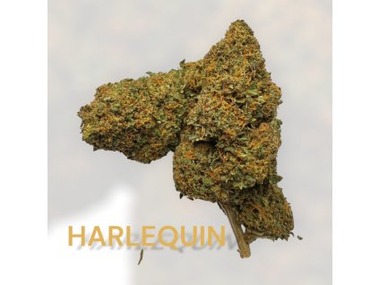 HARLEQUIN  CC9