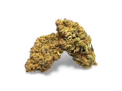 Photoroom 20251127 132200