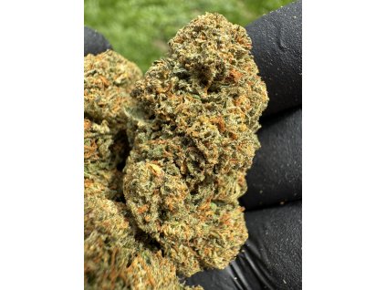 Calli Grape CC9