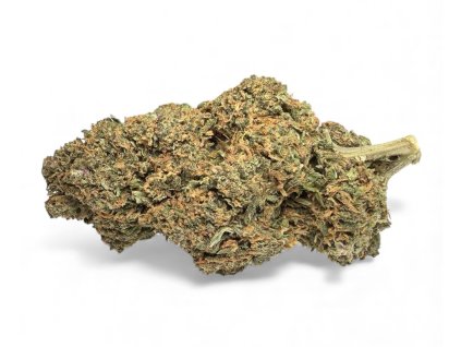 Photoroom 20251127 174425