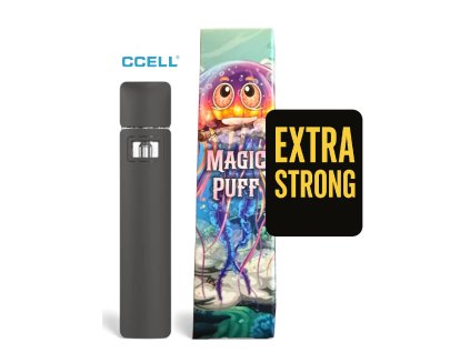 Photoroom 20251212 104422