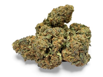 Photoroom 20251212 100026