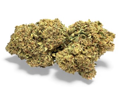 Photoroom 20251212 122144