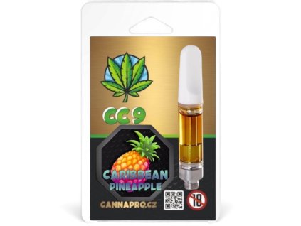 Photoroom 20251212 144213