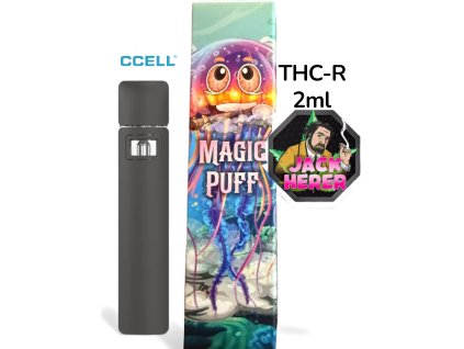 Photoroom 20251217 082513