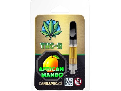 Photoroom 20251222 072857