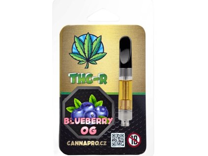 Photoroom 20251222 072958